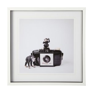 Monkeys & Vintage Camera by Susannah Tucker Photography a Framed Photo Art Print Matted under Glass