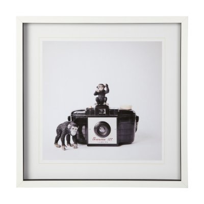 12081 - Monkeys & Vintage Camera by Susannah Tucker Photography a Framed Photo Art Print Matted under Glass