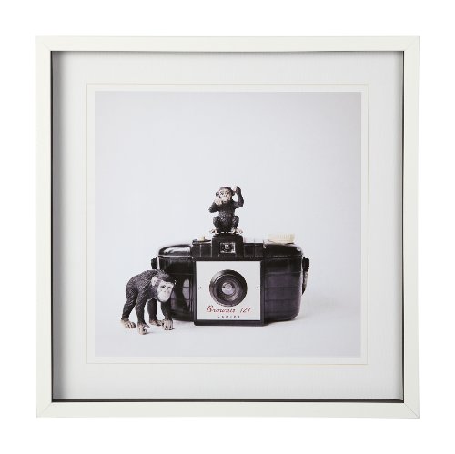 12081 - Monkeys & Vintage Camera by Susannah Tucker Photography a Framed Photo Art Print Matted under Glass