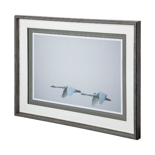 12082 - Andante I by Nancy Crowell a Framed Photo Art Print Matted under Glass