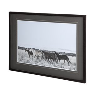 Horse Fort Ranch 12 by Dunker a Framed Photo Art Print Matted under Glass