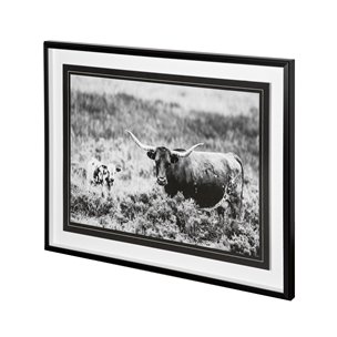 B&W Longhorn II by Tyler Stockton a Framed Photo Art Print Matted under Glass