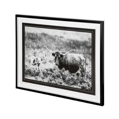 12119 - B&W Longhorn II by Tyler Stockton a Framed Photo Art Print Matted under Glass