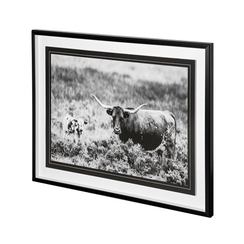 12119 - B&W Longhorn II by Tyler Stockton a Framed Photo Art Print Matted under Glass