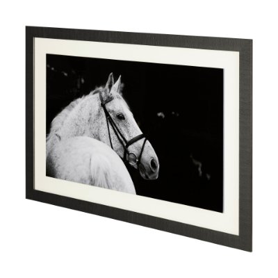 12200 - Bridled Beauty by KaCee Erle a Hand Embellished Textured Framed Photo Art Print Matted under Glass