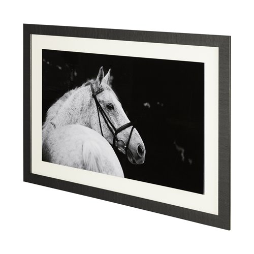 12200 - Bridled Beauty by KaCee Erle a Hand Embellished Textured Framed Photo Art Print Matted under Glass