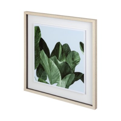 12279 - Celadon Palms I by Emma Scarvey a Framed Art Print Matted under Glass
