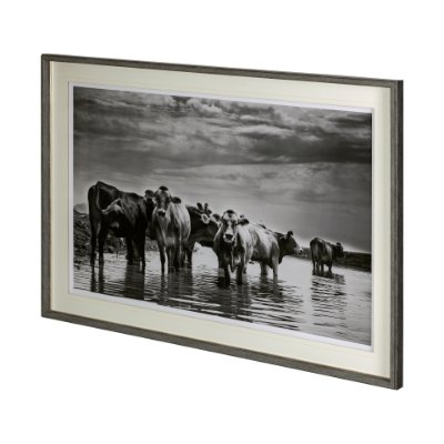 12287 - In the River by Mercana Studio a Framed Photo Art Print Matted under Glass