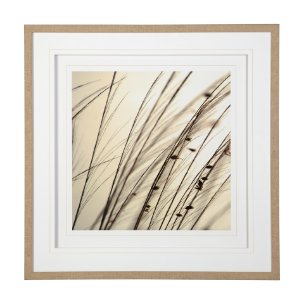 Organic I by Tony Koukos a Hand Embellished Textured Framed Art Photograph Matted under Glass