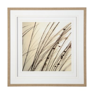 12303 - Organic I by Tony Koukos a Hand Embellished Textured Framed Art Photograph Matted under Glass