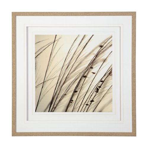 12303 - Organic I by Tony Koukos a Hand Embellished Textured Framed Art Photograph Matted under Glass