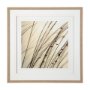 12303 - Organic I by Tony Koukos a Hand Embellished Textured Framed Art Photograph Matted under Glass