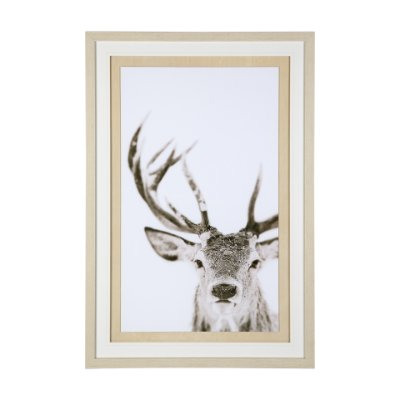 12330 - Ciervo 1 by THE Studio a Framed Photo Art Print Matted under Glass