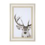 12330 - Ciervo 1 by THE Studio a Framed Photo Art Print Matted under Glass
