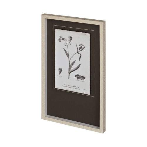 12340 - Conversations on Botany I by Mercana Studio Hand Embellished Framed Art Print Matted under Glass