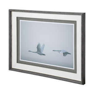 Andante II by Nancy Crowell a Framed Photo Art Print Matted under Glass
