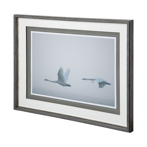 12083 - Andante II by Nancy Crowell a Framed Photo Art Print Matted under Glass