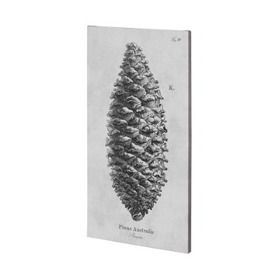 101043-L - Pinus Australis by Mercana Studio a Hand Embellished Textured Canvas