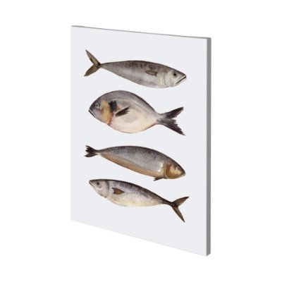 101084-L - Four Fish II by Emma Scarvey a Hand Embellished Textured Canvas
