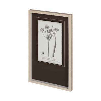12341 - Conversations on Botany II by Mercana Studio Hand Embellished Framed Art Print Matted under Glass