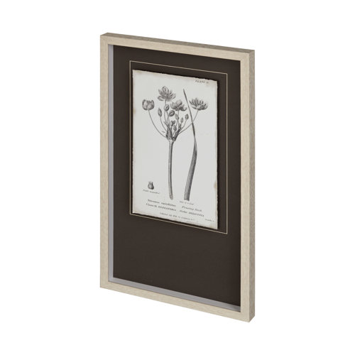 12341 - Conversations on Botany II by Mercana Studio Hand Embellished Framed Art Print Matted under Glass