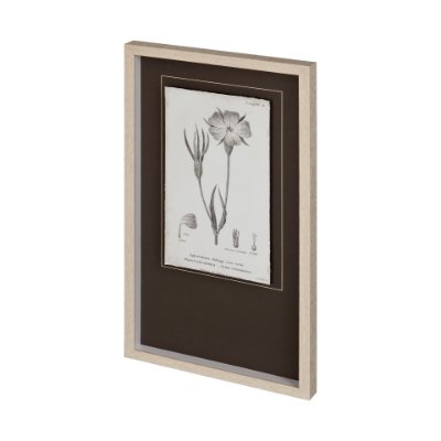 12342 - Conversations on Botany III by Mercana Studio Hand Embellished Framed Art Print Matted under Glass