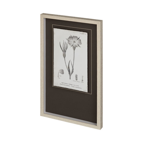 12342 - Conversations on Botany III by Mercana Studio Hand Embellished Framed Art Print Matted under Glass
