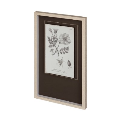 12343 - Conversations on Botany IV by Mercana Studio Hand Embellished Framed Art Print Matted under Glass