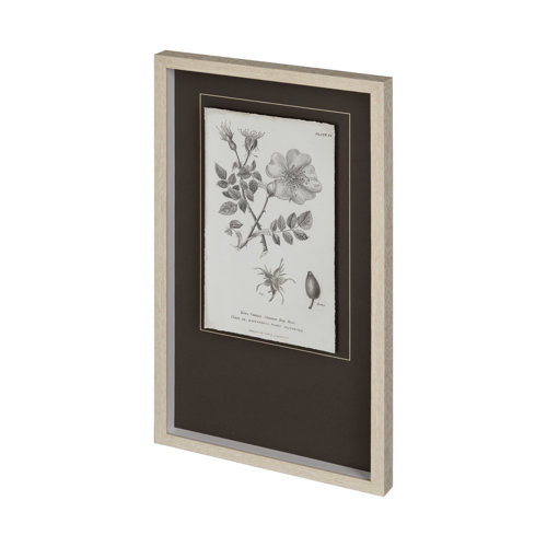 12343 - Conversations on Botany IV by Mercana Studio Hand Embellished Framed Art Print Matted under Glass