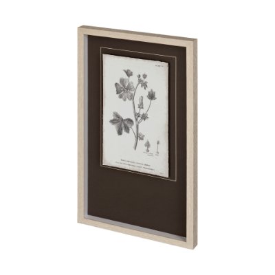 12345 - Conversations on Botany VII by Mercana Studio Hand Embellished Framed Art Print Matted under Glass