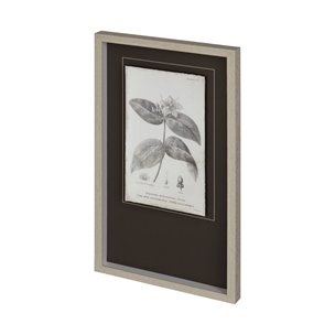 Conversations on Botany VIII by Mercana Studio Hand Embellished Framed Art Print Matted under Glass
