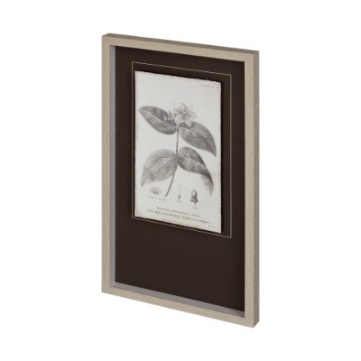 12346 - Conversations on Botany VIII by Mercana Studio Hand Embellished Framed Art Print Matted under Glass