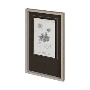 Conversations on Botany IX by Mercana Studio Hand Embellished Framed Art Print Matted under Glass