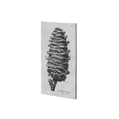 101044-S - Swedish Juniper by Mercana Studio a Hand Embellished Textured Canvas
