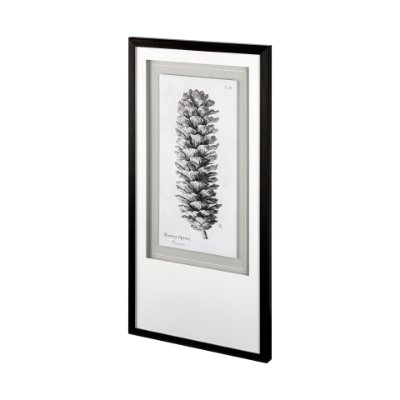 12061 - Norway Spruce by Maria Mendez a Framed Art Print Matted under Glass
