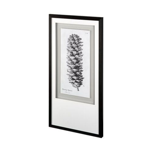 12061 - Norway Spruce by Maria Mendez a Framed Art Print Matted under Glass