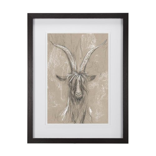 14477 - Sketch of Animal V (Goat) by Mercana Studio Hand Embellished Framed Art Print Matted under Glass
