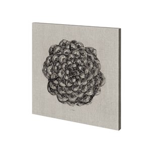 Cone of View II by Mercana Studio a Hand Embellished Textured Canvas