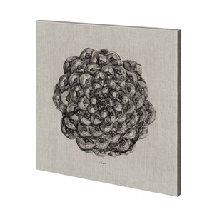 Cone of View II by Mercana Studio a Hand Embellished Textured Canvas