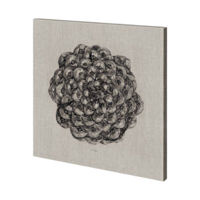 101168-L - Cone of View II by Mercana Studio a Hand Embellished Textured Canvas