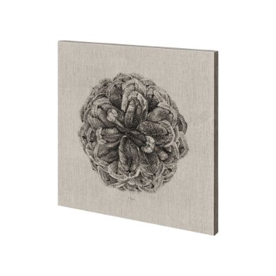 101167-S - Cone of View I by Mercana Studio a Hand Embellished Textured Canvas