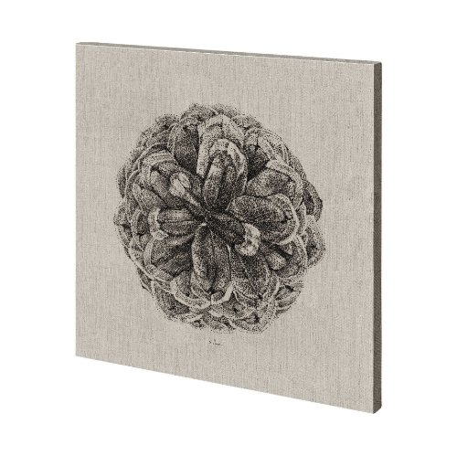 101167-L - Cone of View I by Mercana Studio a Hand Embellished Textured Canvas