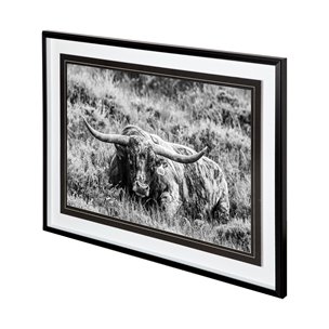 B&W Longhorn III by Tyler Stockton a Framed Photo Art Print Matted under Glass