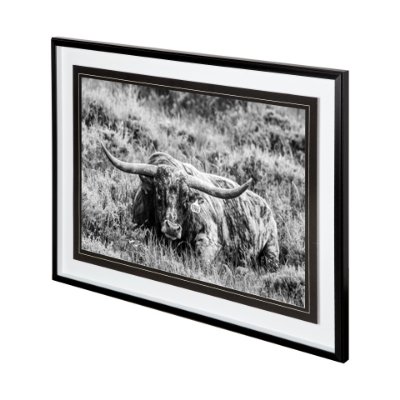 12120 - B&W Longhorn III by Tyler Stockton a Framed Photo Art Print Matted under Glass