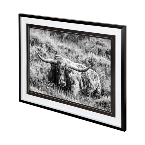12120 - B&W Longhorn III by Tyler Stockton a Framed Photo Art Print Matted under Glass