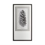 12058 - Larix Europa by Maria Mendez a Framed Art Print Matted under Glass
