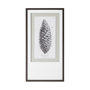 12059 - Pinus Australis by Maria Mendez a Framed Art Print Matted under Glass