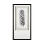 12061 - Norway Spruce by Maria Mendez a Framed Art Print Matted under Glass