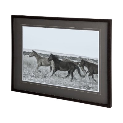 12087 - Horse Fort Ranch 14 by Dunker a Framed Photo Art Print Matted under Glass