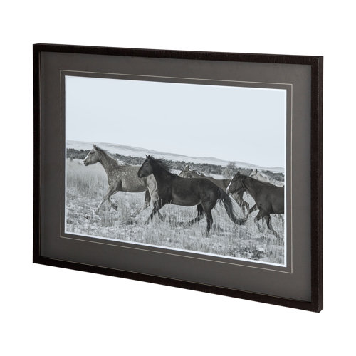 12087 - Horse Fort Ranch 14 by Dunker a Framed Photo Art Print Matted under Glass
